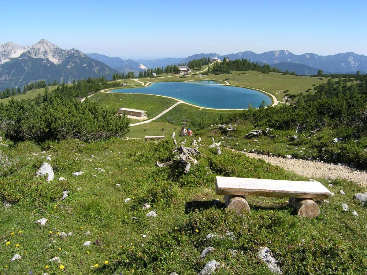 Berg-panorama-hof Sturmgut Hinterstoder